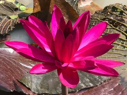 Balance Your Body And Mind With Breath Work