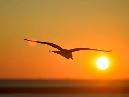 Balance Your Energy Meditation for Stress and Anxiety Relief