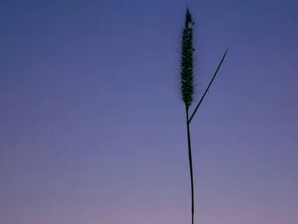 Balance Your Masculine And Feminine Energy