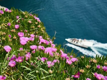 Balanced And Unshaken: Cultivating Equanimity