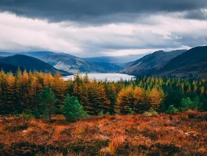 Balanced Breath Practice
