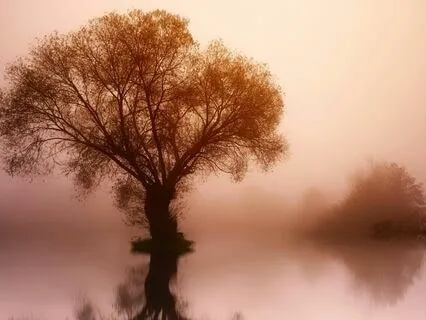 Balanced Serenity: 888 Hz Healing Sounds