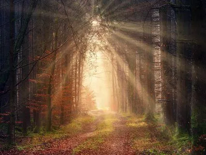 Balancing + Aligning Your Energy Bodies: Intro & Meditation