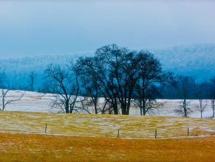 Balancing Care For Self & Others: Buddha's Advice