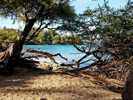 Balancing Divine Feminine & Masculine