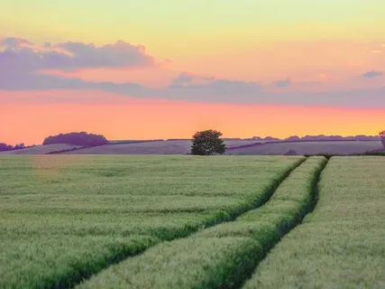 Balancing Emotions With Sound