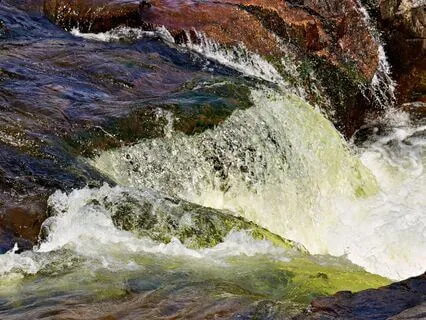 Balancing Freedom And Discipline