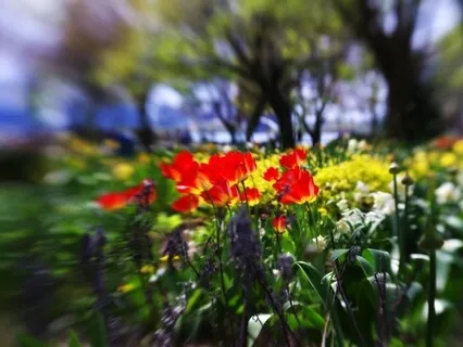 Balancing Meditation 