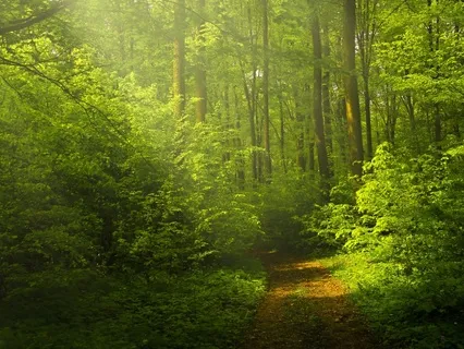 Balancing Root Chakra & Human Design Root Centre