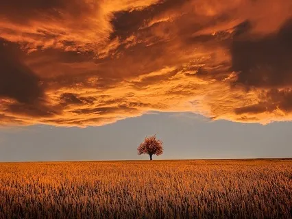 Balancing Sacral Chakra & Human Design Sacral Centre