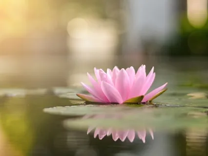 Balancing Stress Hormones