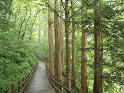 Balancing The Chakras