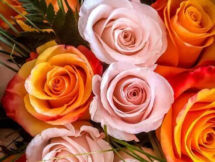 Balancing The Divine Masculine And Feminine Within