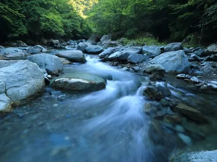 Balancing The Endocrine System Sound Meditation