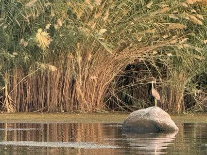 Balancing The Energy In Our Bodies