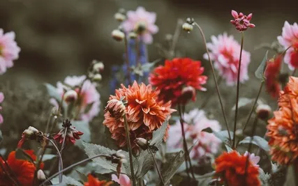 Balancing The Mind And Body