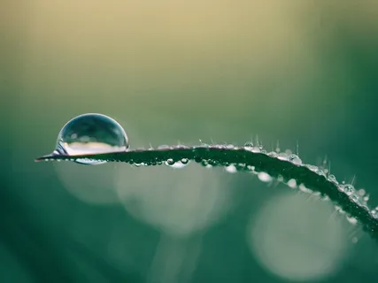 Balancing The Senses