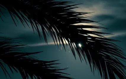 Bali Bliss | Bedtime Story For Relaxing