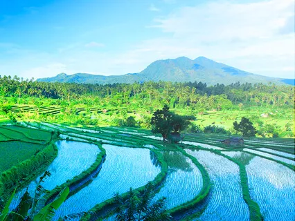 Bali Zen - Relaxation Music