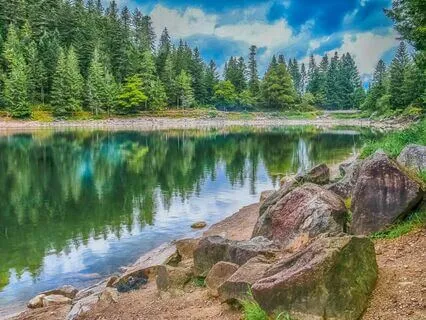 Ballad Of The Fairy Gods