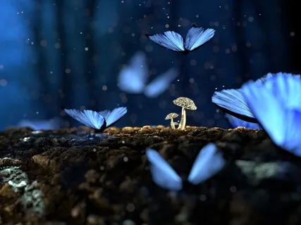 Ballade au cœur de la nature (Walk In The Heart Of Nature)