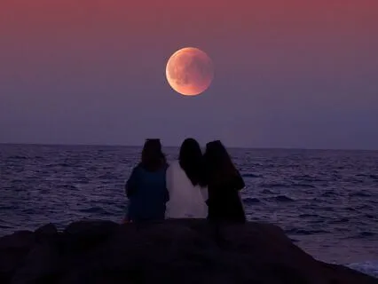 Balta Y Dori: A Musical Tribute To Friendship