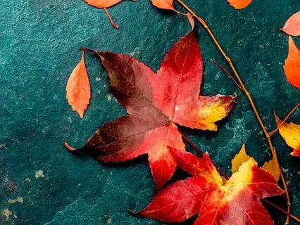 Baltic Mythology: Autumn Time Feast