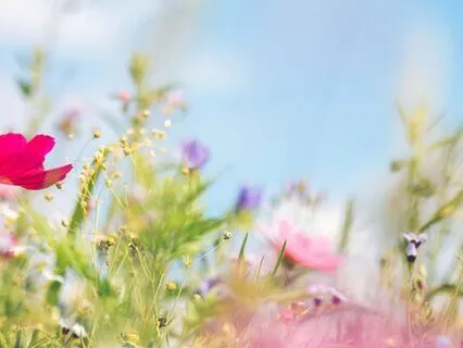 Baltic Mythology: Spring Equanox And The Ancestral Faith