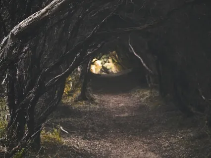 Bambi Chapter: 22 And 23 