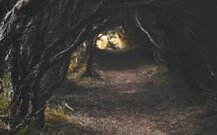 Bambi: Chapters 1 & 2