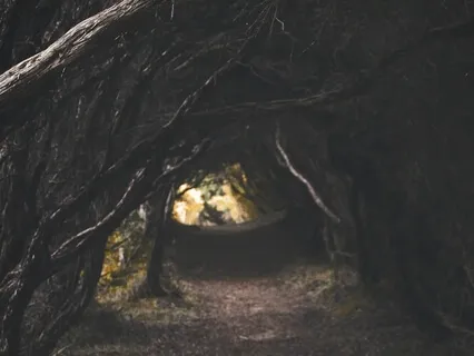 Bambi: Chapters 14 And 15