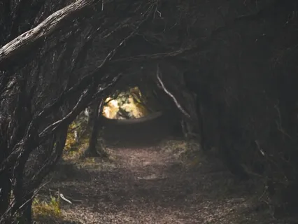 Bambi: Chapters 16 And 17