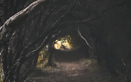 Bambi Chapters:  18, 19, And 20