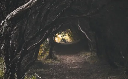 Bambi Chapters 5 & 6