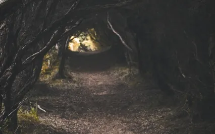 Bambi: Chapters 9 & 10 