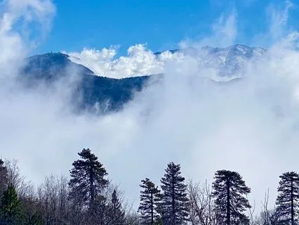 Bamboo Flute And Sitar Meditation Flow