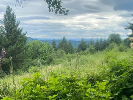 Bamboo Flute, Cello And Spoken Word Rejuvenation