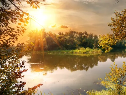 Bamboo Flute Relaxation Music