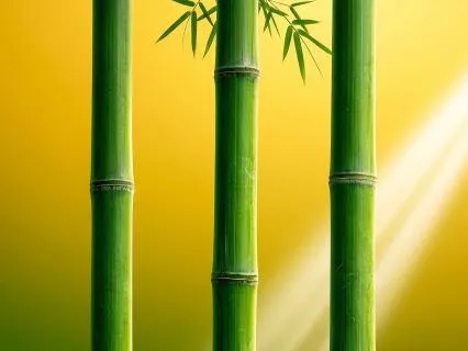 Bamboo Forest - Japanese Zen Sound | Stress & Morning Energy