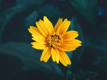 Banishing Negative Energy Guided Meditation And Mantra