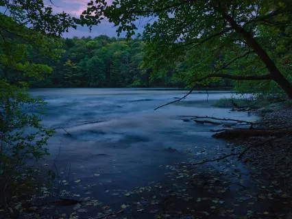 Bansuri Flute: A Moment Of Joy