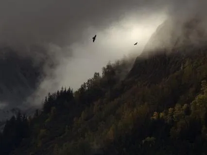 Bansuri Flute Arrival Of Dawn Relaxation