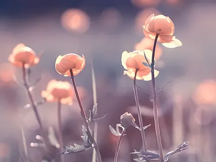 Barefoot At Twilight