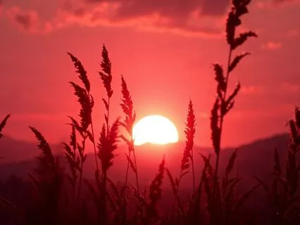 Baroque Focus: Toccata & Fugue For Deep Work