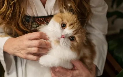 Baroque Relaxing ,Soothing Sleep Music