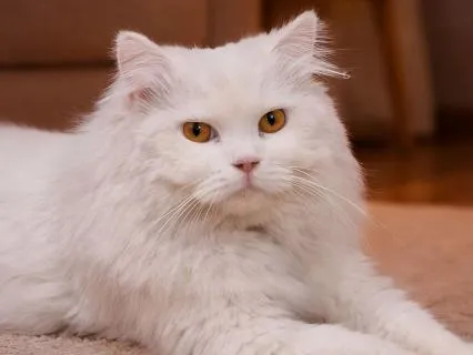 Sleep Instantly: Relaxing Kalimba for Heavy Eyes