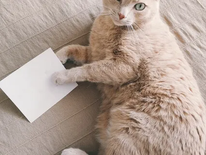 Baroque Relaxing Sleeping Meditation Music #6