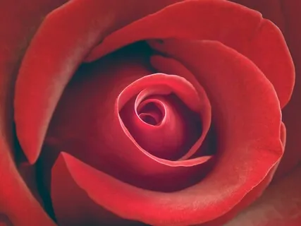 Base Chakra Clearing For You And Your Business