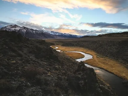 Base Chakra Energetic Healing