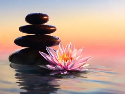 Baseline For Beginners 